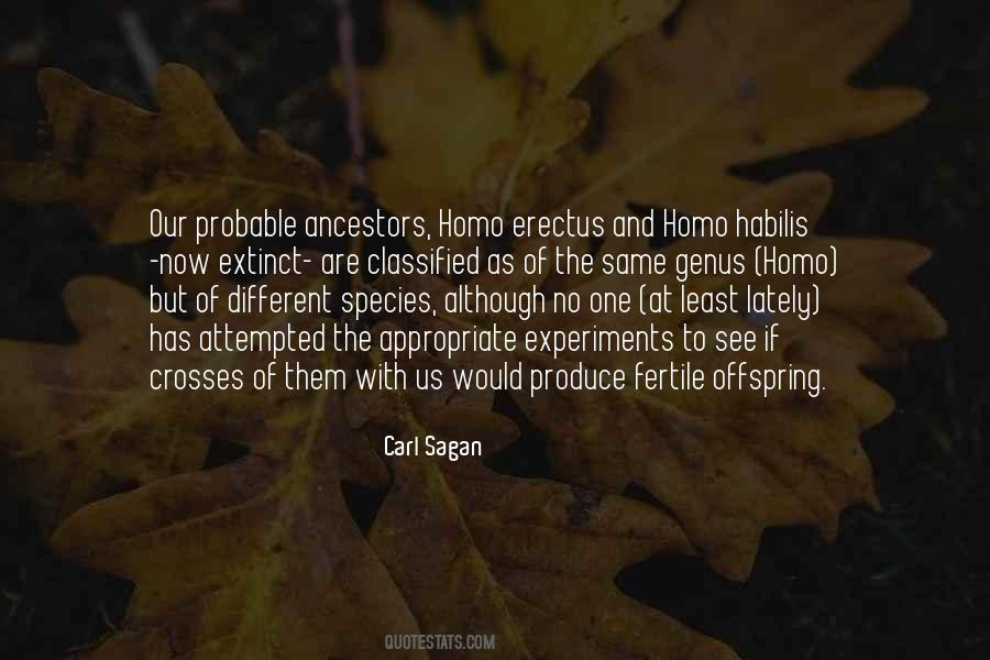 Erectus Quotes #1846553