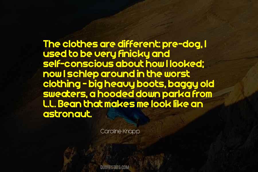 Quotes About Baggy Clothes #1829572