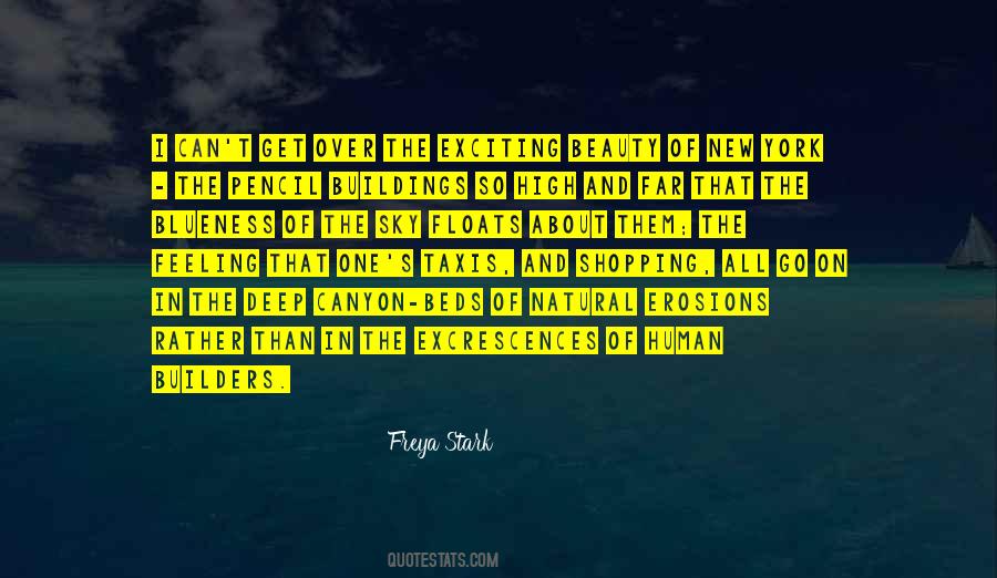 Erosion's Quotes #1826807