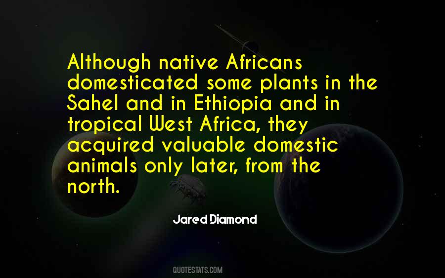 Ethiopia's Quotes #258174