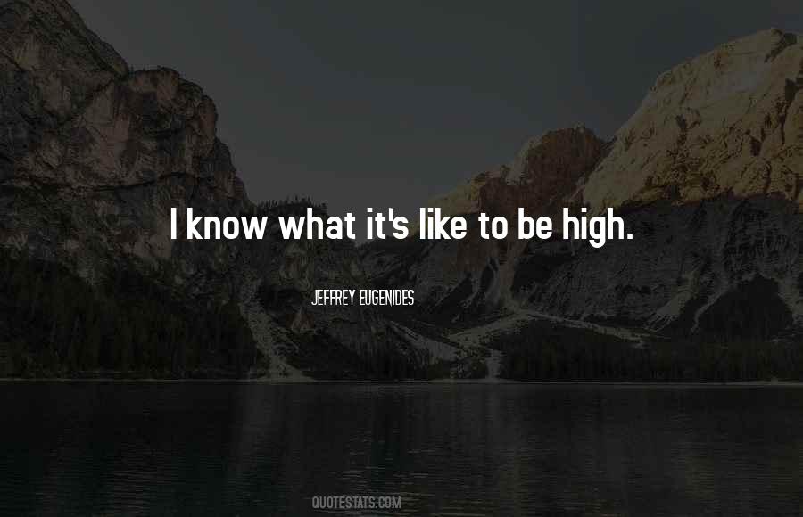 Eugenides's Quotes #1777634