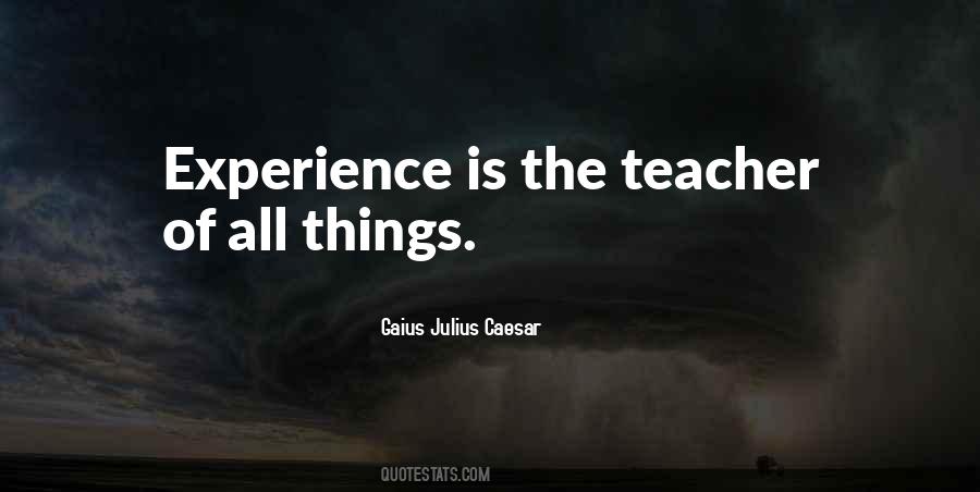 Quotes About Experience As A Teacher #179319