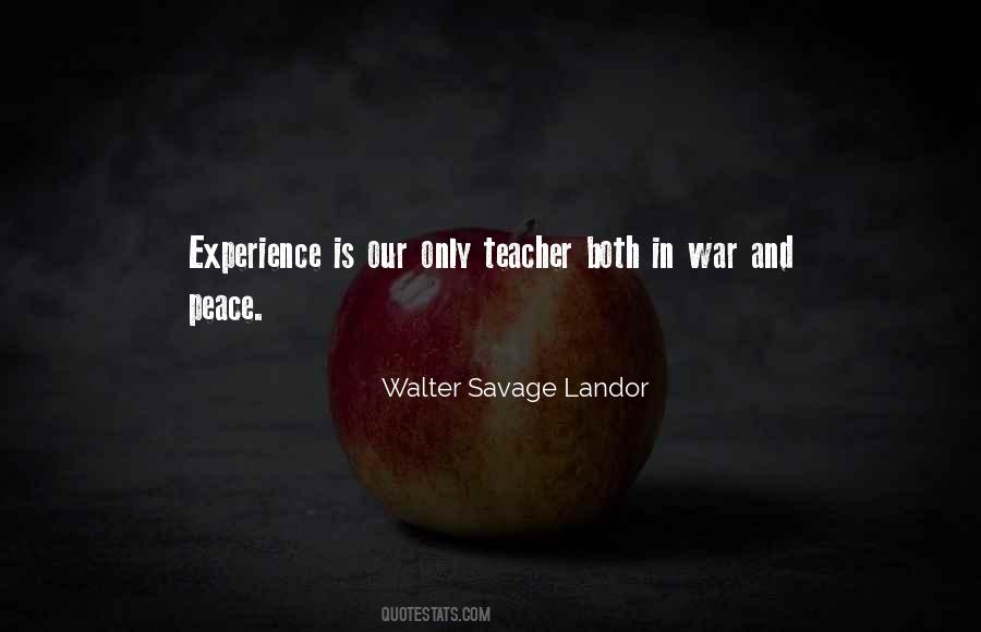 Quotes About Experience As A Teacher #308897