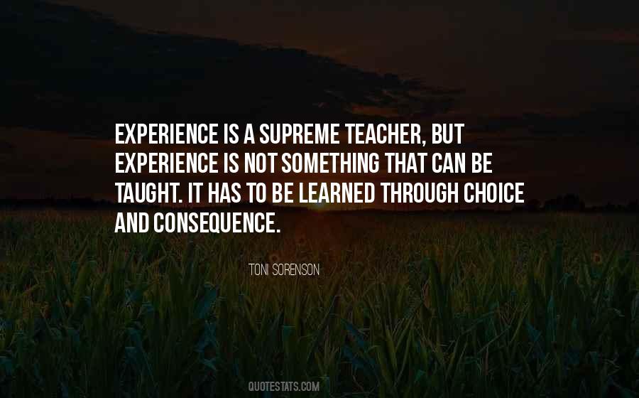 Quotes About Experience As A Teacher #629971