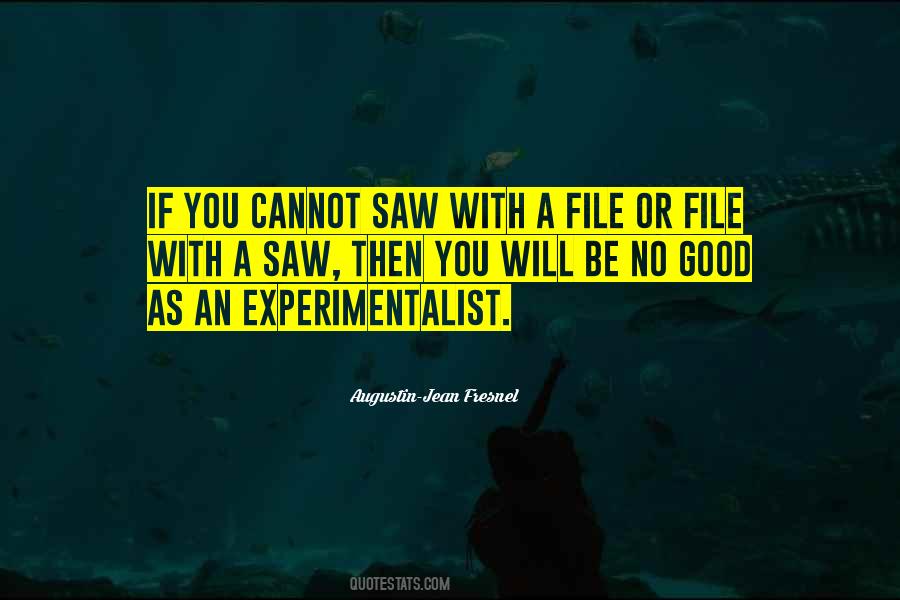 Experimentalist Quotes #1222434