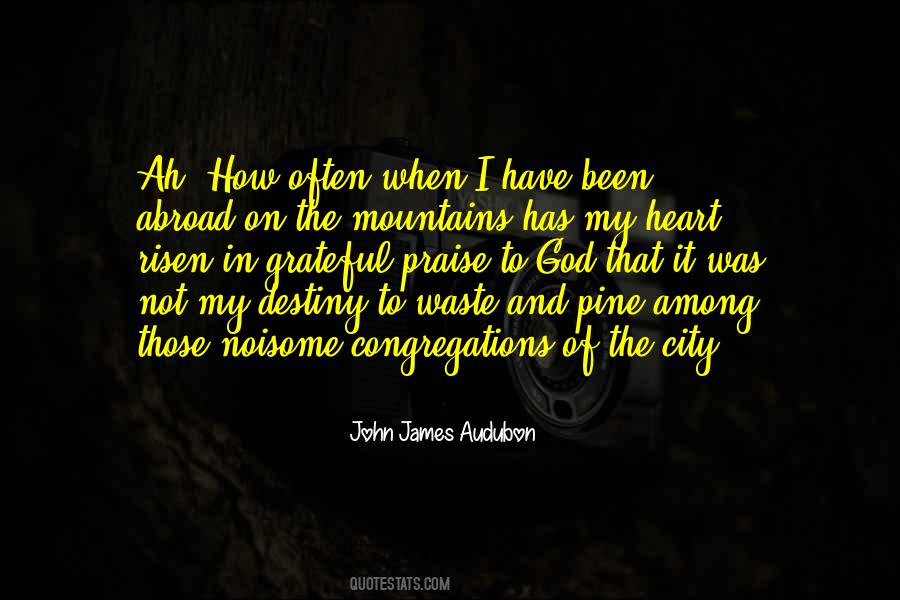 Quotes About Traditional Dress #96594