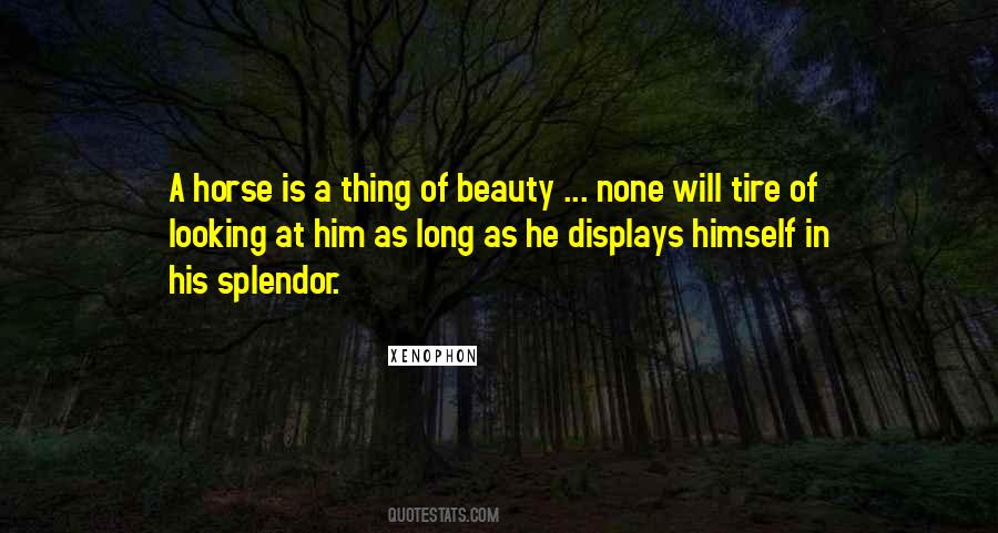 Quotes About Looking At Him #1480077