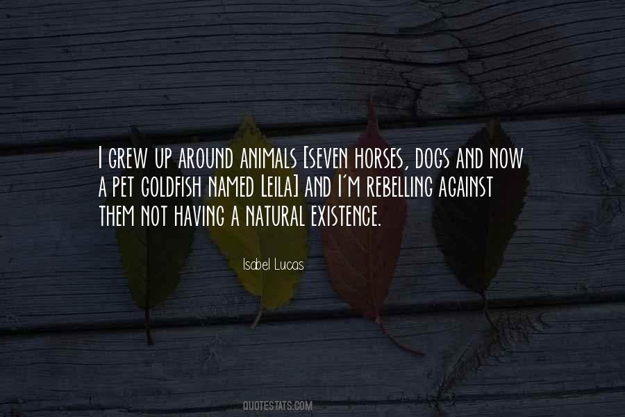 Quotes About Horses And Dogs #46728