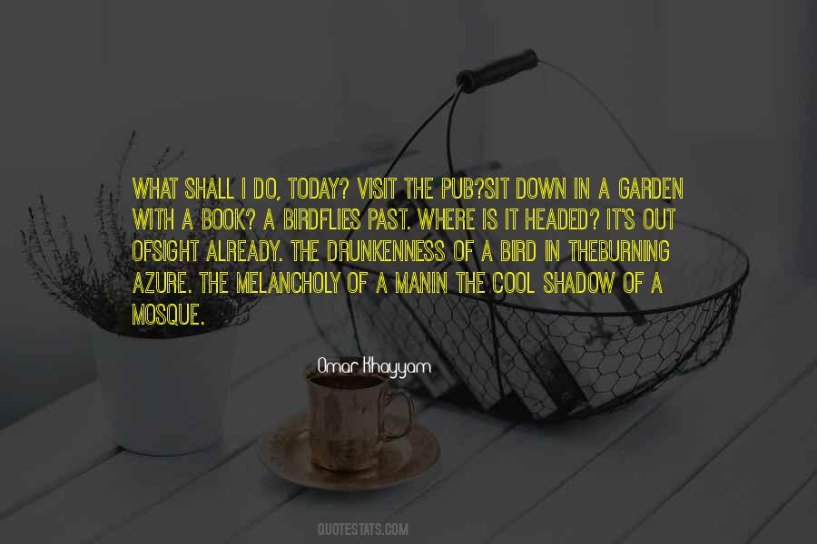 Quotes About Drunkenness #397751