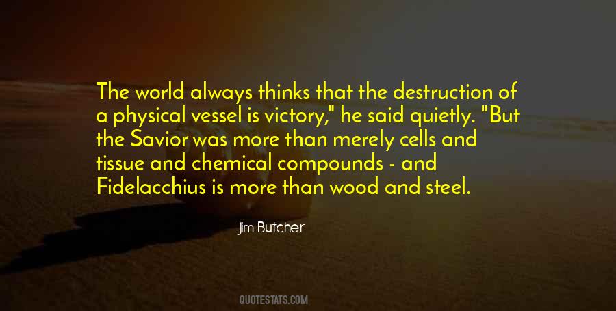 Fidelacchius Quotes #828116