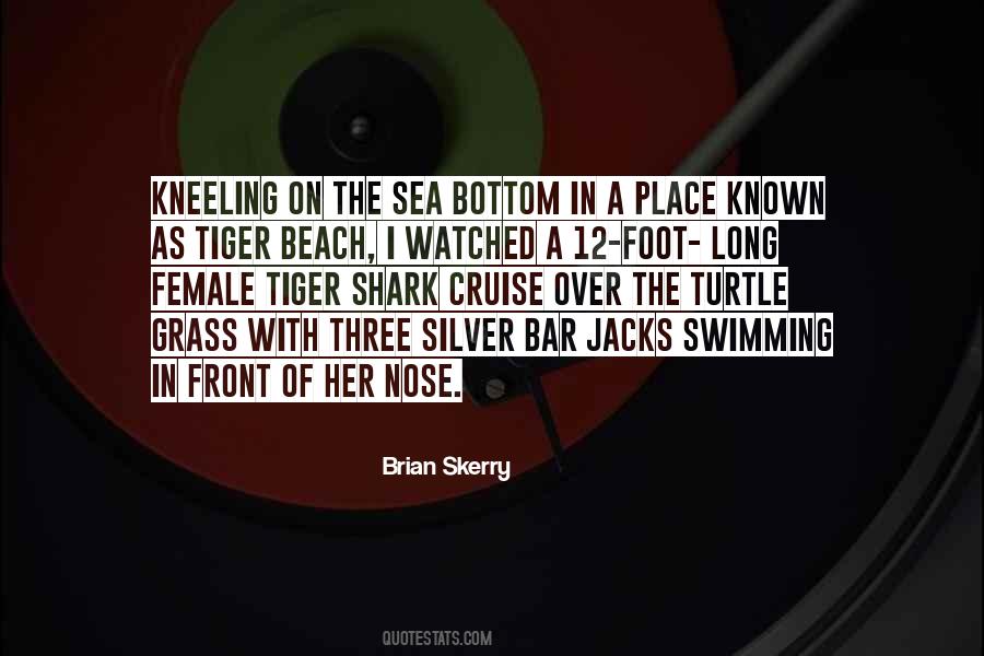Quotes About Swimming In The Sea #792497