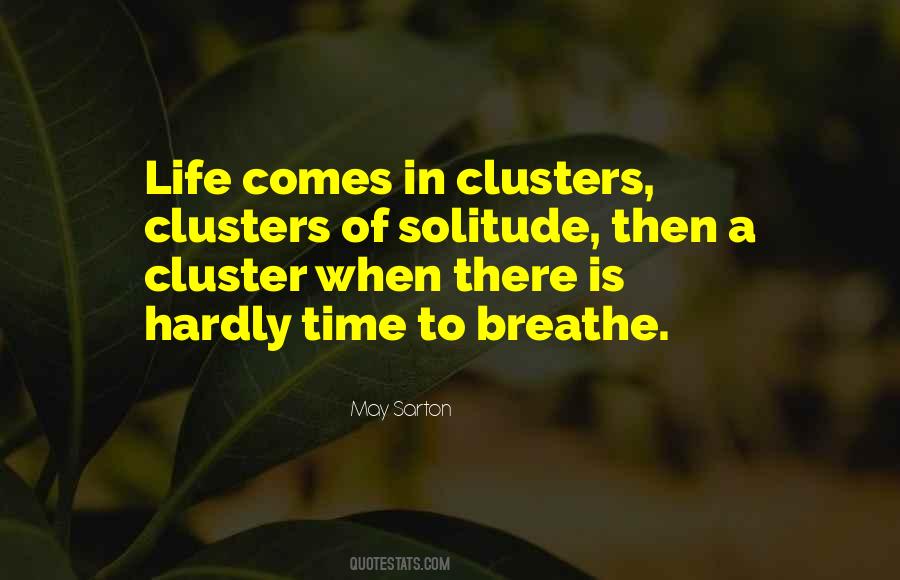 Quotes About Solitude Life #376248
