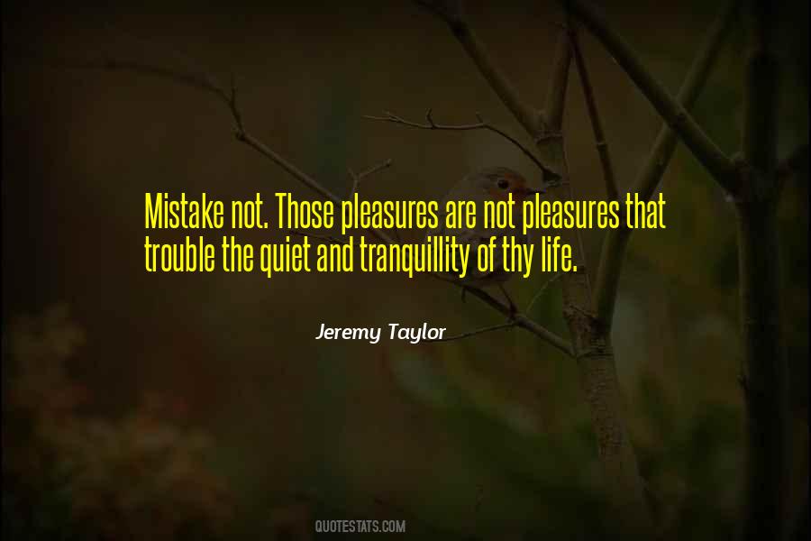 Quotes About Solitude Life #443282