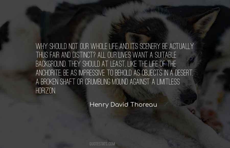 Quotes About Solitude Life #507541