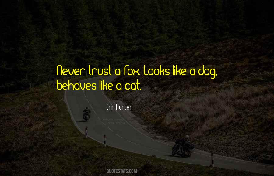 Firepaw's Quotes #985462