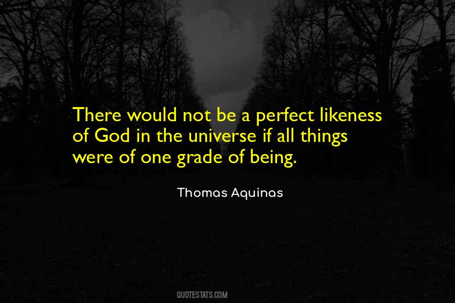 Quotes About Things Not Being Perfect #1179573