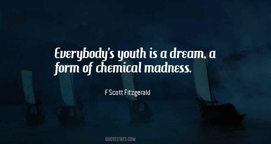 Fitzgerald's Quotes #283240