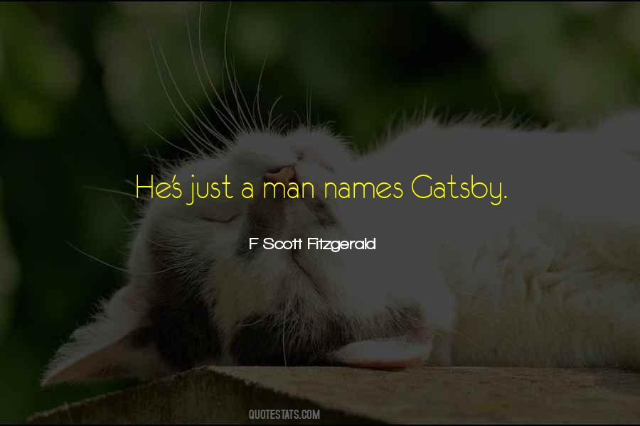 Fitzgerald's Quotes #537629