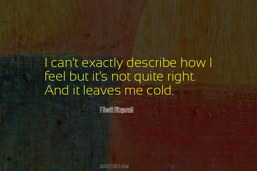 Fitzgerald's Quotes #95761