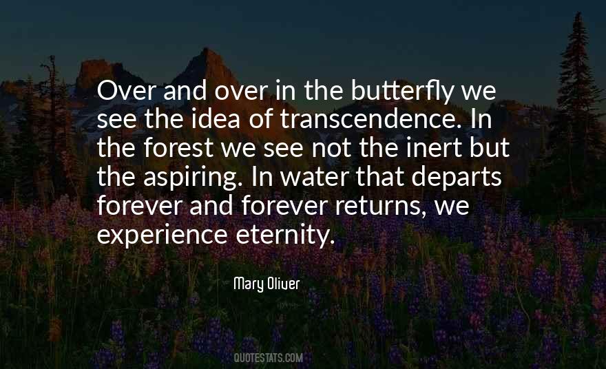 Quotes About The Butterfly #1612920