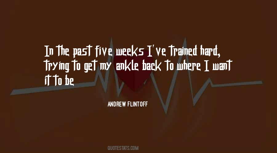 Flintoff Quotes #1521299