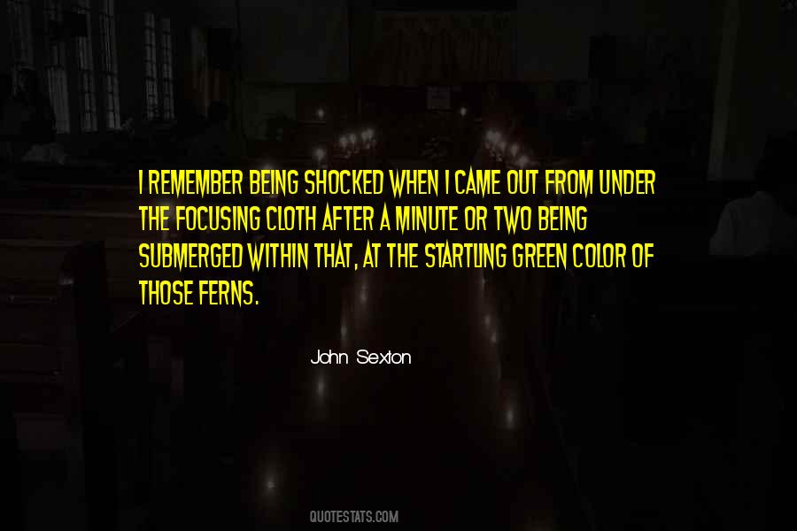 Quotes About Shocked #1298225