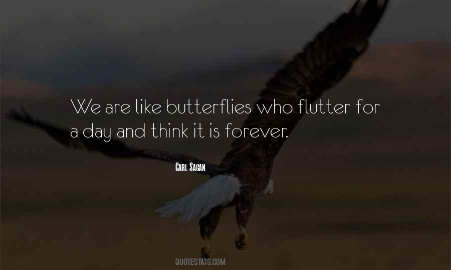 Flutter Quotes #692784