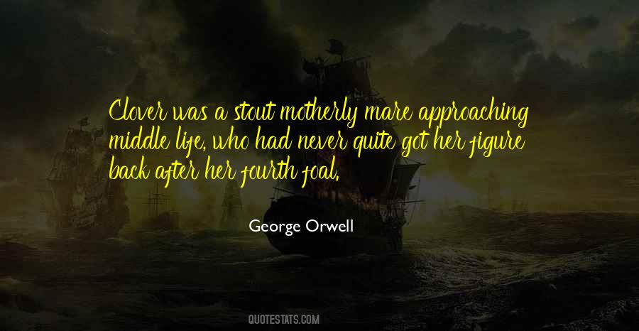Foal Quotes #89272