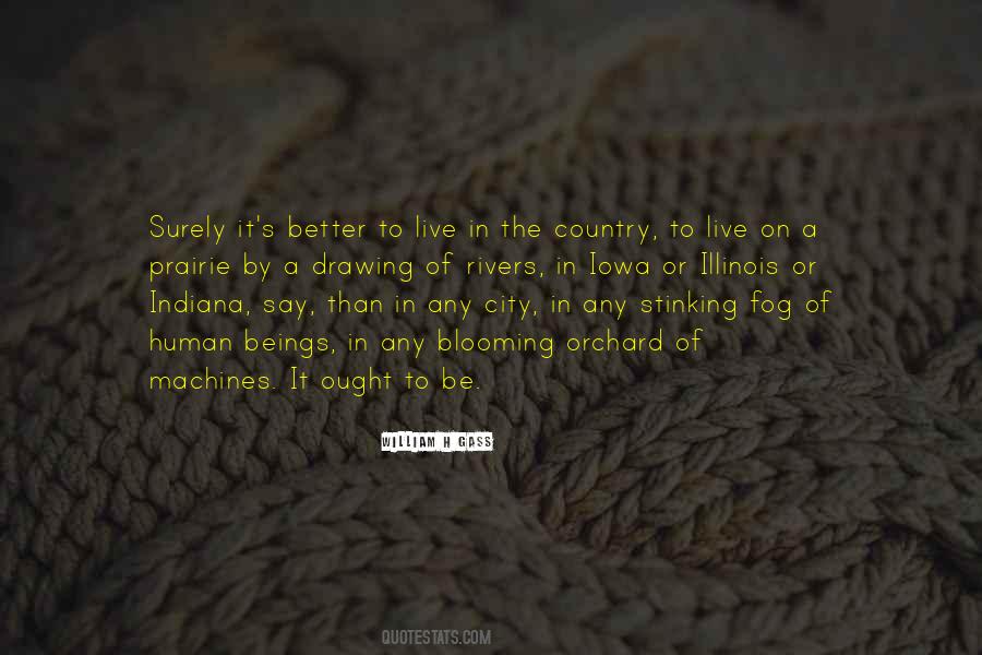 Fog's Quotes #1147410