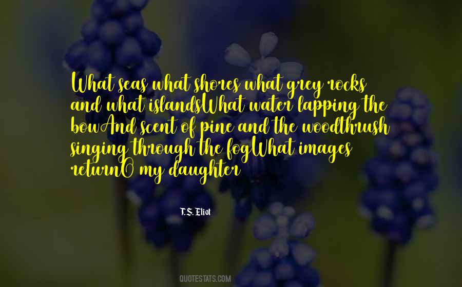 Fog's Quotes #579686