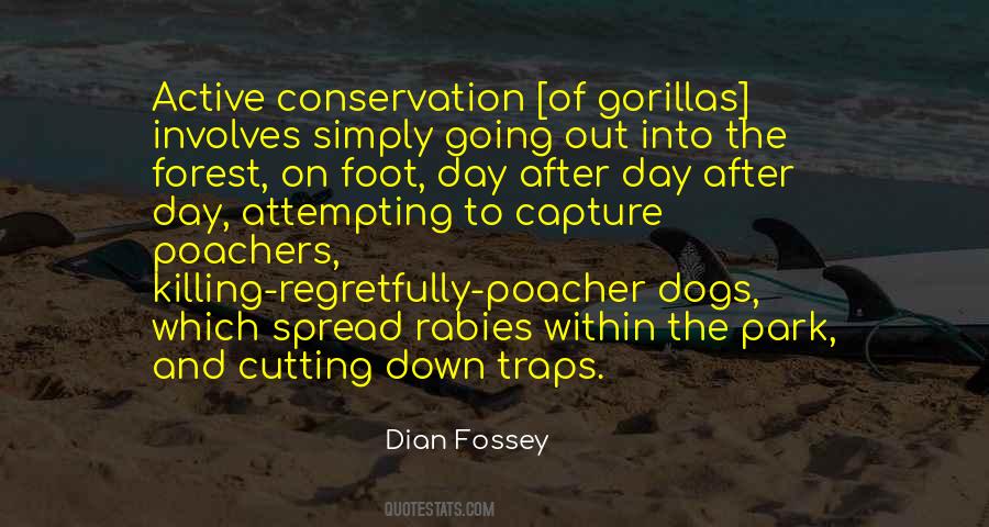 Fossey Quotes #32913