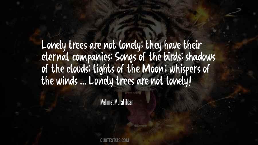 Quotes About Lonely Moon #1298646