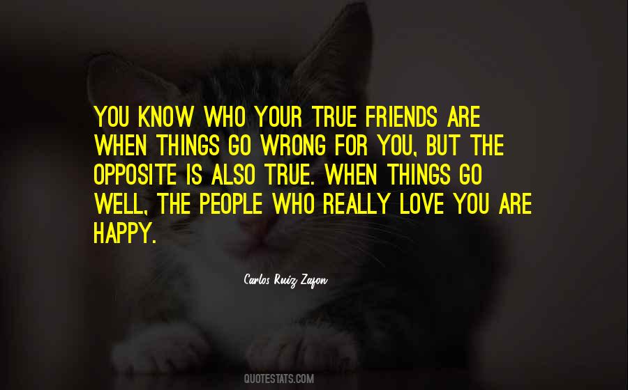 Quotes About Your True Friends #1468918