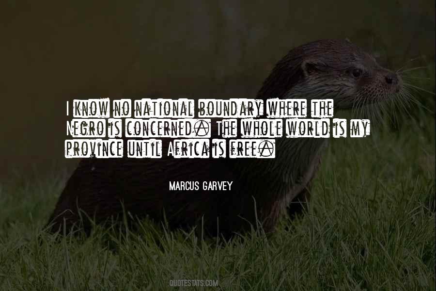 Garvey's Quotes #893615