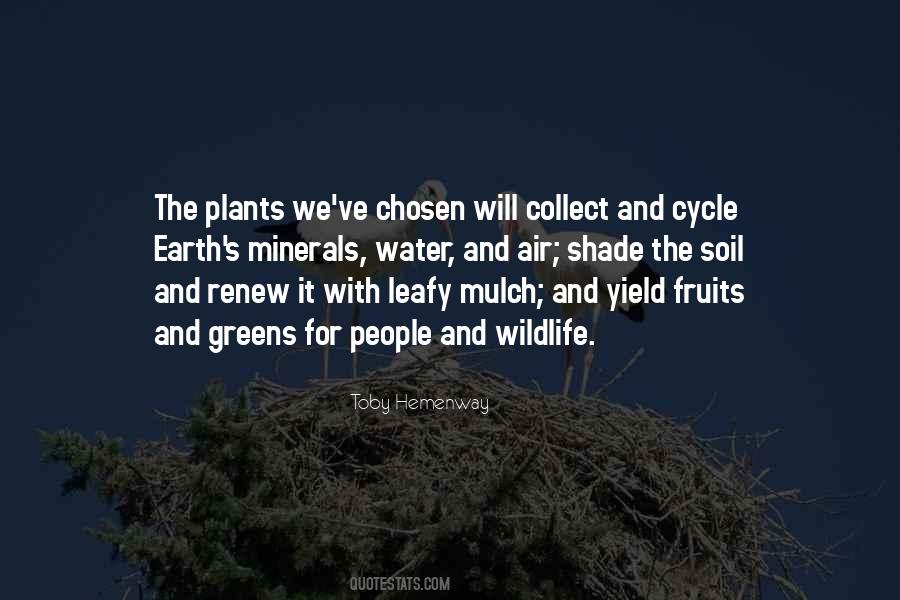 Quotes About Soil And Water #1624074