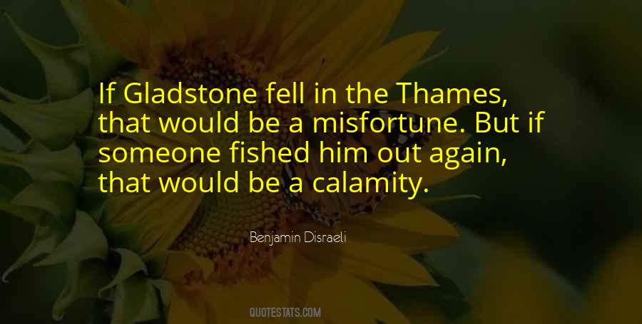 Gladstone's Quotes #626089