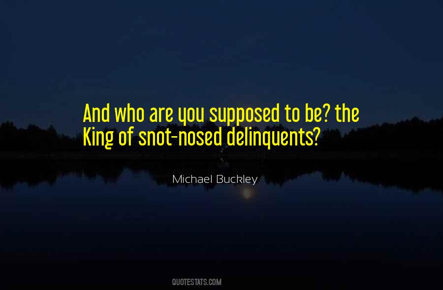 Glamourization Quotes #1313074