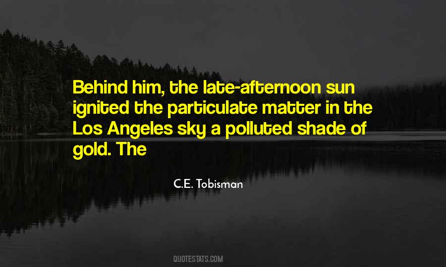 Quotes About Afternoon Sky #502915