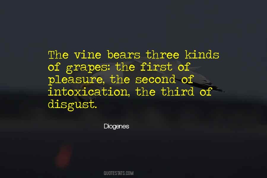 Quotes About Intoxication #777124
