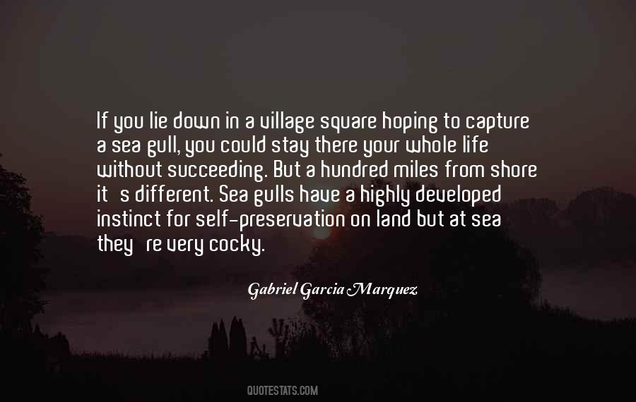 Gull Quotes #1162670