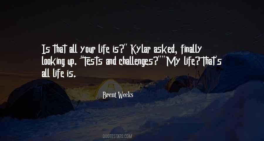 Quotes About Life's Challenges #811081