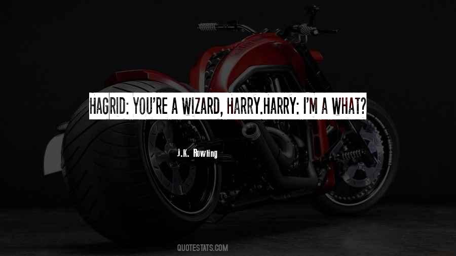 Hagrid'll Quotes #1121809