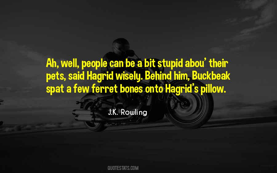 Hagrid'll Quotes #1344322