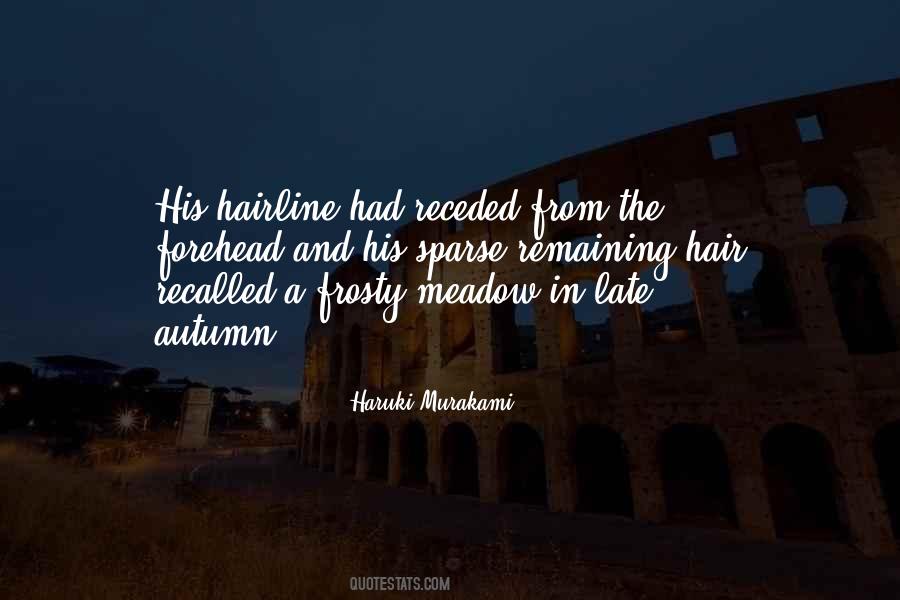 Hairline's Quotes #500115