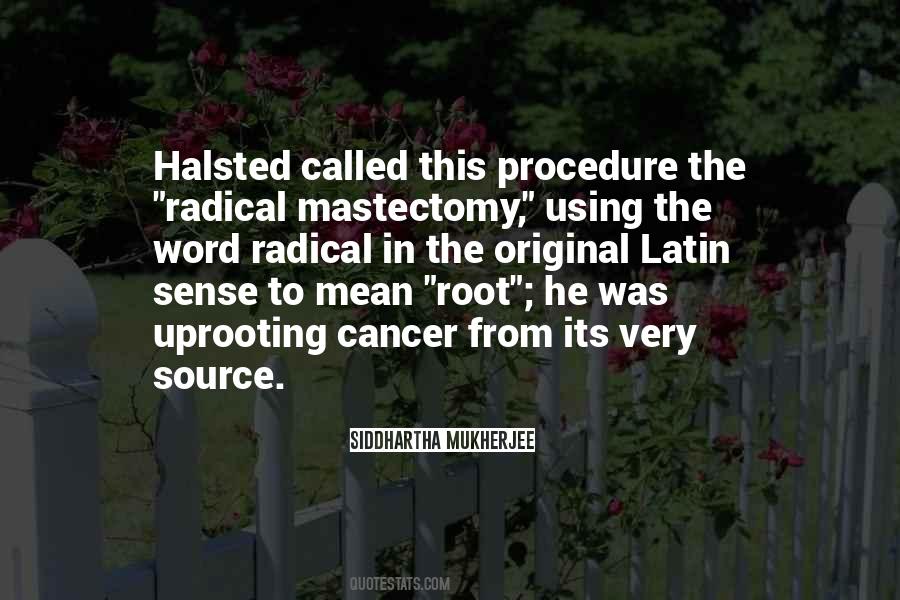 Halsted Quotes #937590