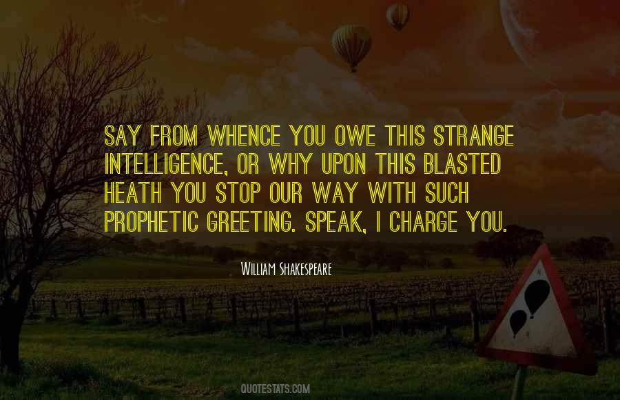 Hammerheads Quotes #73665