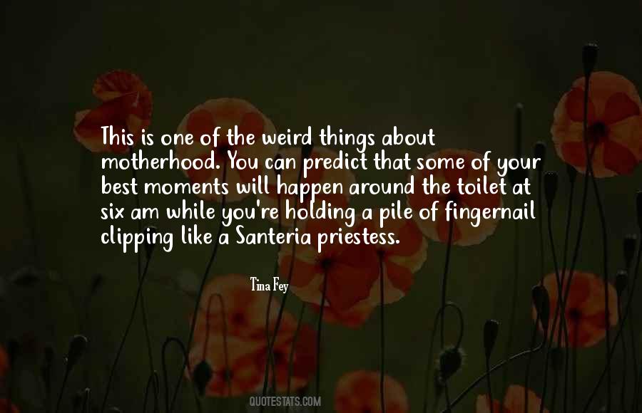 Quotes About Santeria #910393